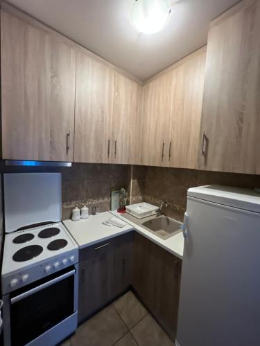 a small kitchen with a stove and a sink at Sweet Apartments in Žabljak