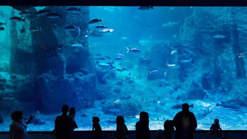 a group of people standing in front of a large aquarium at Crowne Plaza Florya Istanbul by IHG in Istanbul