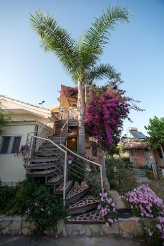 bougainvillea house 1