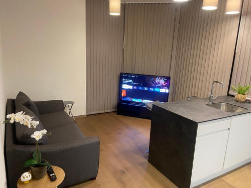 Un televizor și/sau centru de divertisment la New Modern Apartment near Heathrow Airport