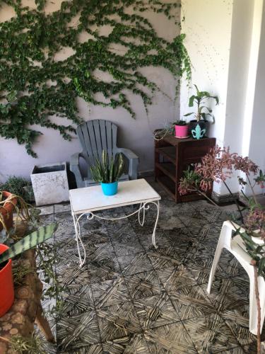 La Pichuca – Photos 3