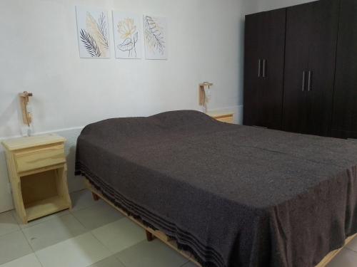 1 dormitorio con 1 cama grande y armario en Departamento El Nogal en Villa Santa Cruz del Lago