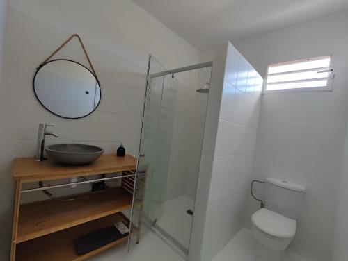 a bathroom with a sink and a toilet and a mirror at Kukumi's House in Sainte-Anne