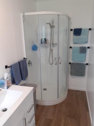 a bathroom with a shower with a glass shower stall at Pin Oaks in Whanganui