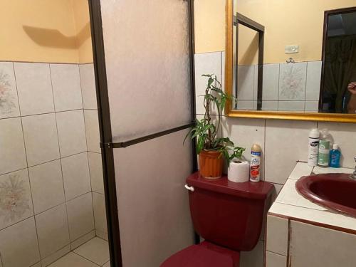 une salle de bain avec toilettes, lavabo et miroir dans l'établissement Casa Lupita Alajuela, à Alajuela