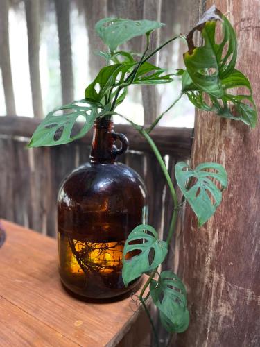 a vase with a plant in it on a table at Aldea Yuyu in Tulum