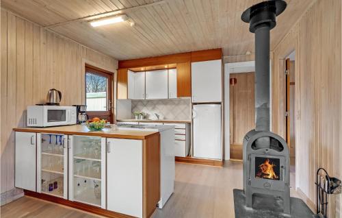 Η κουζίνα ή μικρή κουζίνα στο Nice Home In Hadsund With Kitchen