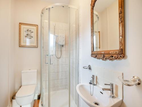 a bathroom with a shower and a toilet and a sink at Norfolk Cottages - The Coach House in Smallburgh