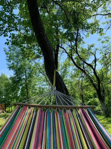 a hammock under a tree in a park at Casutele din Poienita in Comarnic