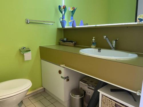 une salle de bain avec un lavabo et des toilettes dans l'établissement Studio 4 pers avec piscine et parking à 1200m de la plage - FR-1-249-263, au Cap d'Agde