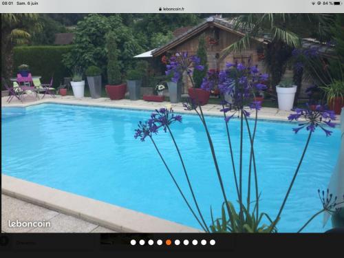 a large blue swimming pool with purple flowers next to it at Chalet pour 2 amoureux in Allinges