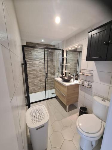 une salle de bain avec toilettes et lavabo dans l'établissement Maison à 200m de la plage. T3 avec terrasse., à Valras-Plage