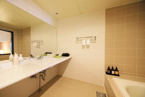 a bathroom with a sink and a mirror and a tub at Hotel Shikisai in Nikko