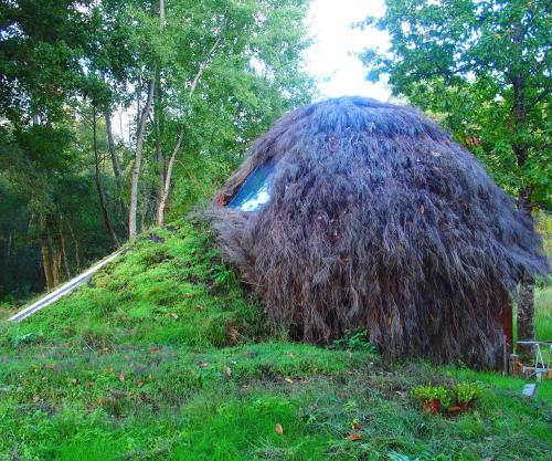 un monticule herbeux avec toit de chaume dans un champ dans l'établissement Le cul de loup, à Vouzon