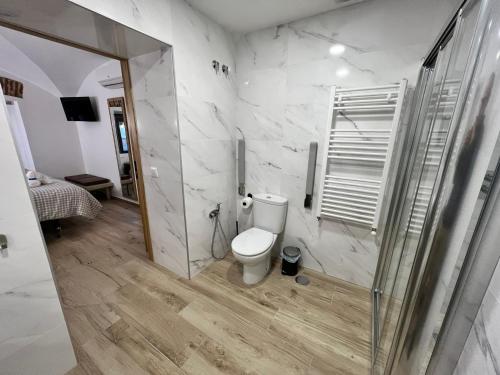 a bathroom with a toilet and a walk in shower at Casa rural Maila in Malpartida de Cáceres