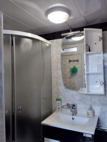 a bathroom with a shower and a sink at Spardishi tower in Mestia