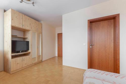 TV o dispositivi per l'intrattenimento presso Apartma Ana