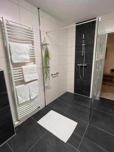 baño con ducha y puerta de cristal en ZumGlückFrei en Passau