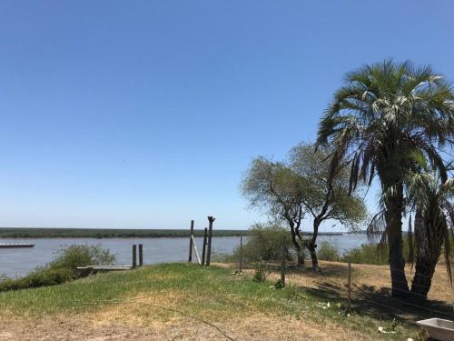 dwie palmy na brzegu wody w obiekcie Habitación privada,en Espacio Angeles w mieście San Nicolás de los Arroyos