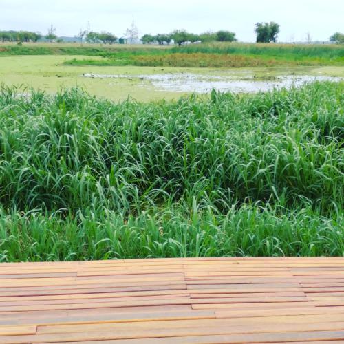 a wooden bench in front of a field of grass at Habitación y baño privado, en SN Bienestar y calma in San Nicolás de los Arroyos