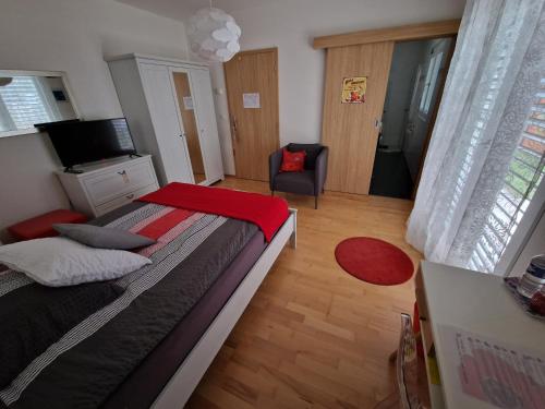 um quarto com uma cama, uma televisão e uma cadeira em BnB "Les Coquelicots" em Mies