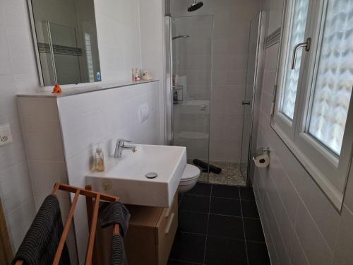 a bathroom with a sink and a toilet and a mirror at BnB "Les Coquelicots" in Mies