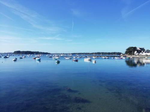 a group of boats floating on a large body of water at Les Villas de Locmiquel BORD DE MER in Baden