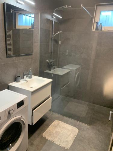 Billede fra billedgalleriet på Villa Linett i Siófok