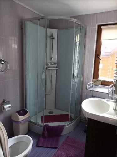 a bathroom with a shower and a toilet and a sink at Сімейний котедж У Діани in Tatariv