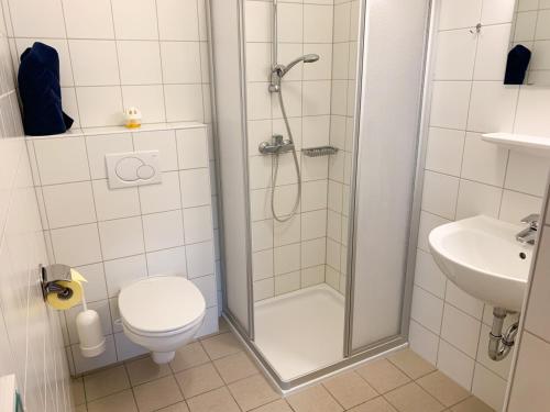 uma casa de banho com um chuveiro, um WC e um lavatório. em Kraftplatz Waldzell 