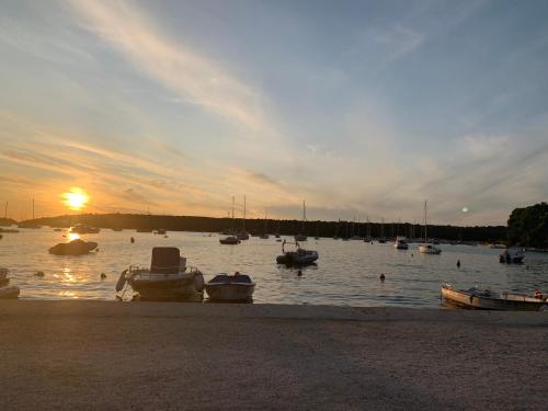 Fotografie z fotogalerie ubytování Casa Rosa v destinaci Banjole