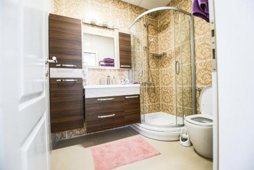 a bathroom with a shower and a toilet and a sink at Vila Palas in Vrnjačka Banja