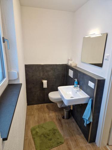 a bathroom with a sink and a toilet and a mirror at Apartment im Nordschwarzwald in Unterreichenbach