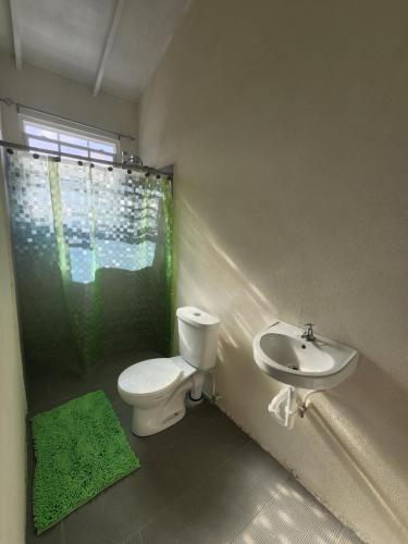 a bathroom with a toilet and a sink at El Palacio Hidden City Place #2 in Bridgetown