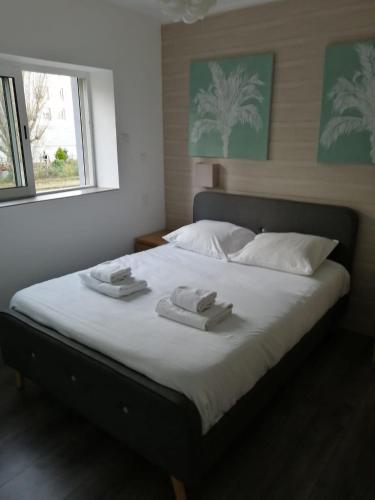 Maison toute équipée 3 chambres avec jardin calme et Spa