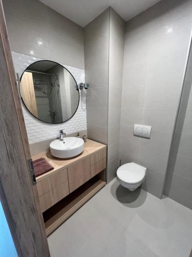 a bathroom with a sink and a toilet and a mirror at Platán Garden közvetlen vízparti apartman in Balatonboglár