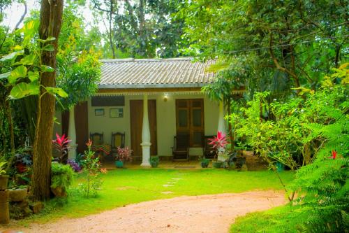 Travelodge Sigiriya – Photos 2
