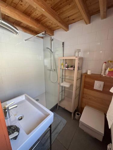 a bathroom with a sink and a shower at Le Serre Barbin : Maison / Chalet avec jardin in Le Monêtier-les-Bains