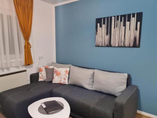 a living room with a couch and a table at Apartmani Lotus Vrdnik in Vrdnik