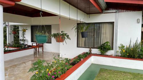 a house with a swimming pool and some plants at Las Pavitas Arenal Suites in Fortuna