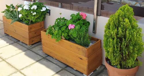 three wooden boxes with flowers and plants in them at Rustic House in Émbonas