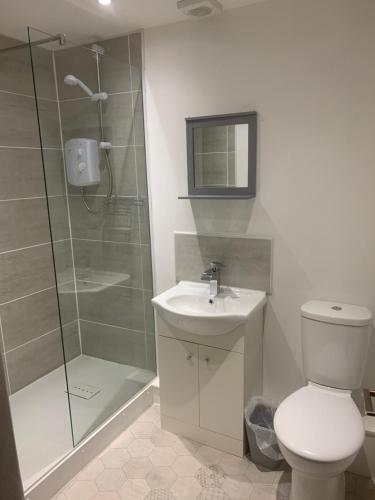 a bathroom with a shower and a toilet and a sink at The Slaters Arms Corris in Machynlleth