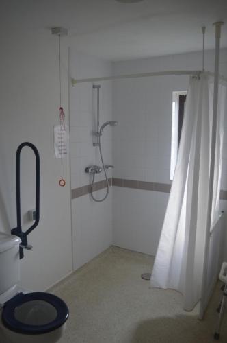 a bathroom with a shower with a toilet and a shower curtain at The Queen Victoria in Snettisham