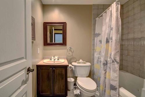 La salle de bains est pourvue de toilettes, d'un lavabo et d'une douche. dans l'établissement Excellent Townhome On Golf Course w/3 Bdrm 2 Bath, à Mont-Tremblant
