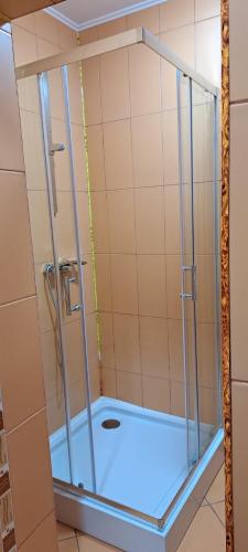 a shower with a glass door in a bathroom at pensiunea grecu in Lugoj