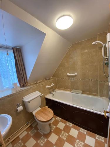a bathroom with a toilet and a tub and a sink at Lower Mill 1 Cottage Broadway in Broadway