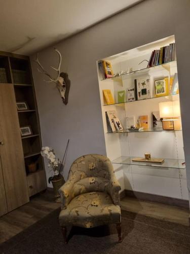 - un salon avec une chaise et une étagère dans l'établissement L'Ourse, Epinal,très bel appartement quartier Port, à Épinal