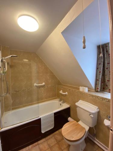 a bathroom with a toilet and a tub and a sink at Lower Mill 2 Cottage Broadway in Broadway