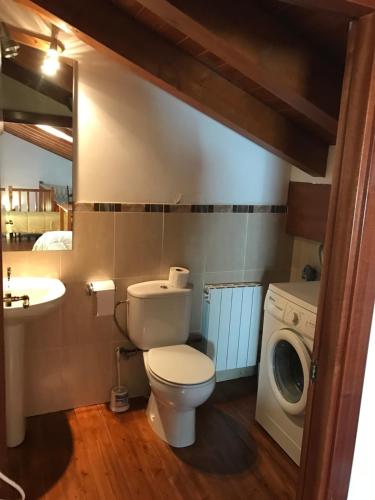 La salle de bains est pourvue de toilettes et d'un lave-linge. dans l'établissement Apartament Dúplex de Can Bota Avet-p, à Setcases