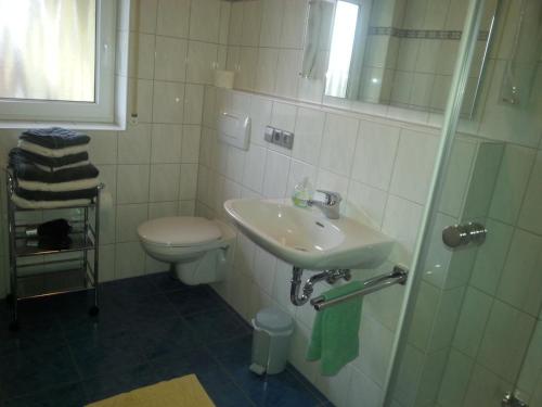 a bathroom with a sink and a toilet at Ferienhof Arold in Creglingen